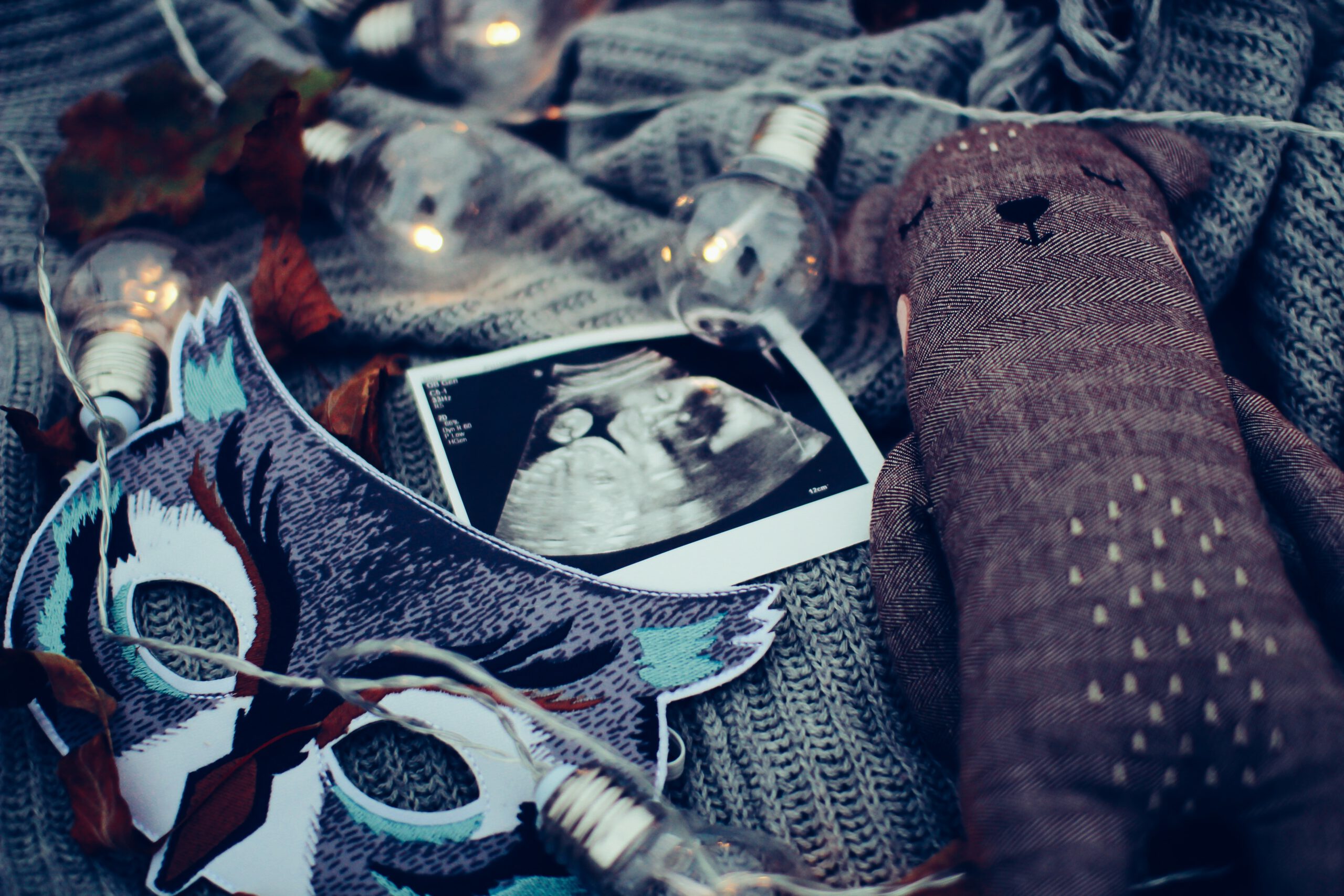 daiga-ellaby-ND8movhPDLY-unsplash